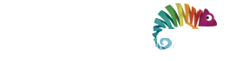 Webformas - Agência de Marketing em SP